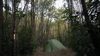 4 Freaky TRUE Camping Horror Stories [upl. by Suqram]