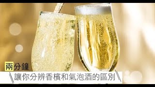 【實用】兩分鐘讓你分辨香檳和氣泡酒的區別  台灣蘋果日報 [upl. by Aznola47]