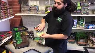 Complete Arboreal Tarantula Setup at LLLReptiles Oceanside Store [upl. by Fabrianna]