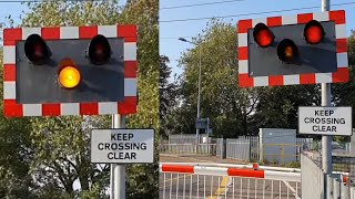 Rare Crossing at Kings Lynn Tennyson Avenue Level Crossing Norfolk [upl. by Ameerak]