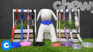 Frisco Dog Leashes and Collars  Chewy [upl. by Karyl]