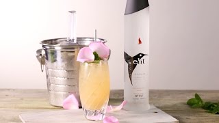 How To Make A Stoli Vodka Cocktail [upl. by Ojytteb319]