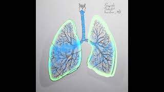 Pneumothorax Animation Shorts [upl. by Euqinahc]