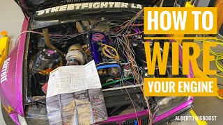 2JZ VVTI BMW E36 HALTECH ELITE 2500 INSTALL everything you need to know [upl. by Andros948]