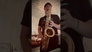 Chicago  Street Player Selmer Axos Tenor Sax 1966 Geoff Lawton 115 Mouthpiece [upl. by Irami]