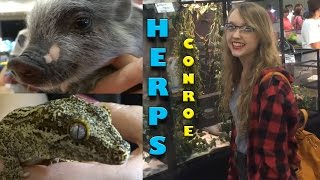 ◡ HERPS Conroe  Reptile Show ◡ [upl. by Fortuna]