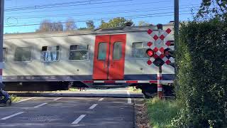 Spoorwegovergang KalmthoutBelgium Railroad crossing 🇧🇪 [upl. by Breen]