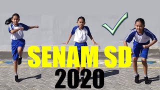 Senam Anak SD Kelas 16  Senam SD 2020  Dunia Nadia Senam Ritmik [upl. by Nauwtna]