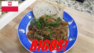 BIGOS Hunters Stew the national dish of Poland polish bigos recipe [upl. by Nnylsaj563]