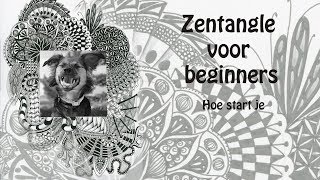 Zentangle voor beginners hoe start je [upl. by Catina]