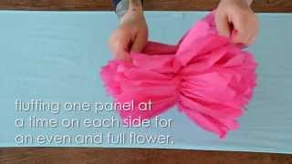 How To Assemble Tissue Paper Flower Pom Poms [upl. by Greene401]