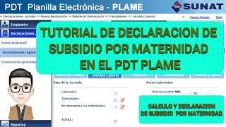 COMO DECLARAR SUBSIDIO POR MATERNIDAD EN PDT PLAME [upl. by Ben]