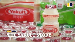 The Yakult story Japanese health drink conquers the world with beneficial bacteria [upl. by Hound]