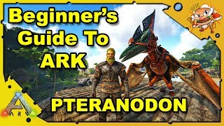 How to Get Started in ARK  A Beginners Guide  How To Tame A Flyer  Ark Survival Evolved S4E4 [upl. by Kentiggerma]