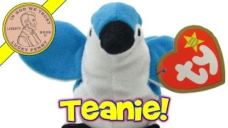 Beanie Baby Dogs Part2 What are TY Beanie Babies pups from the 90s worth in 2020 amp 2021 values [upl. by Bettina]