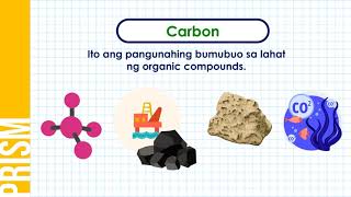 Ano ang Biogeochemical Cycle [upl. by Assylla]