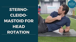 Strengthen your sternocleidomastoid for head rotation  The MSK Physio [upl. by Gilboa]