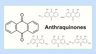 anthraquinones [upl. by Gnouhc866]