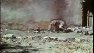 Leopardess vs female hyena Leopardess defeat hyena twice her size [upl. by Dianthe]