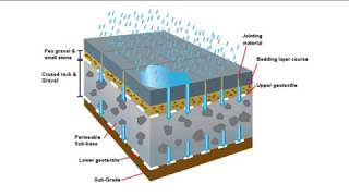 Shoreview Pervious Concrete Success Story [upl. by Aubry]