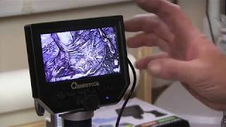 Unboxing and first look at my Bangood digital microscope [upl. by Anneyehc674]