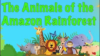 The Animals of the Amazon Rainforest for kids [upl. by Nauhs374]