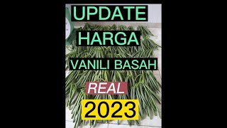 update harga terbaru vanili tahun 2023  bikin nyesek [upl. by Compte]