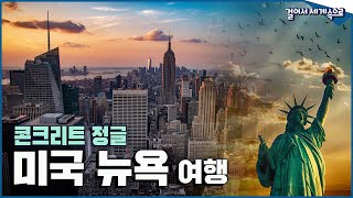 걸어서세계속으로 Full📺 초고층 빌딩 사이 자연이 숨어있는 콘크리트 정글 미국 뉴욕 겨울여행 Trip to New york KBS20170218 [upl. by Fugazy]