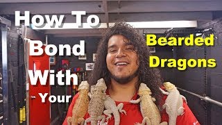 How To Bond With Your Bearded Dragon Tips  Part 1 [upl. by Tandie108]