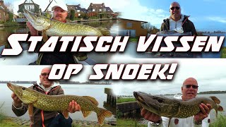 statisch vissen op snoek [upl. by Sargent]