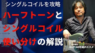 ハーフトーンとシングルコイルの使い分け解説。 [upl. by Gnuhn]