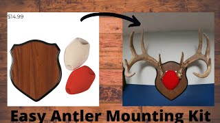 How To Mount Antlers On A Budget [upl. by Lucier]