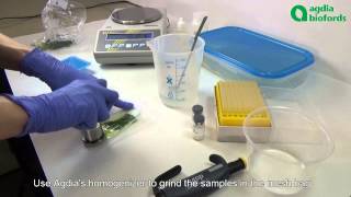 Plant Pathogen ELISA detection How to prepare your samples [upl. by Yanaj]