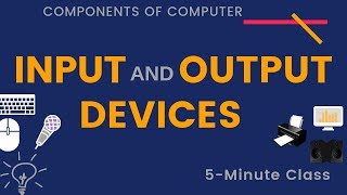 Input and Output Devices [upl. by Iem]