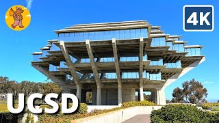 College Math Classes Tier List UCSD Math [upl. by Anahsohs478]