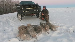 On the Trapline Ep 4  Great Coyote Trapping While Fighting Through a Tough Winter on the Trapline [upl. by Averell]