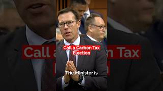 Carbon Tax Election Now [upl. by Elletnahs]