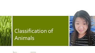 DLP Science F2 Chapter 12 A Classification of Animals PT3 DLP KSSM [upl. by Ahsiaa]