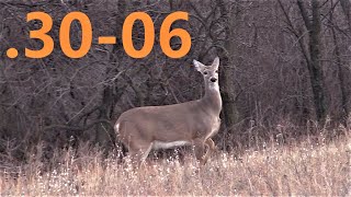 3006 takes DEER BALLISTIC SILVERTIP BULLET [upl. by Oswald4]