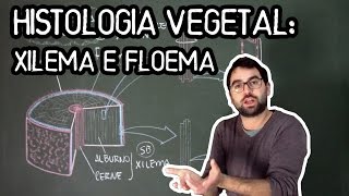 Histologia Vegetal Tecidos de Condução de Seiva  Aula 14  Módulo V Botânica Prof Guilherme [upl. by Eedyah186]