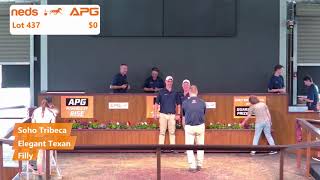 2024 Yearling Sales  Perth [upl. by Greenstein]