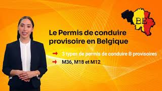 Le Permis de conduire provisoire en Belgique [upl. by Yreva]