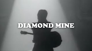 Blue Rodeo  Diamond Mine Official Music Video [upl. by Adile]