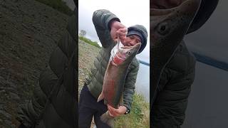 Big Rainbow Trout fishing newzealand fish anglers [upl. by Collum]