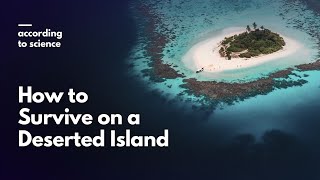 How to Survive Being Stranded on a Deserted Island According to Science [upl. by Levenson]