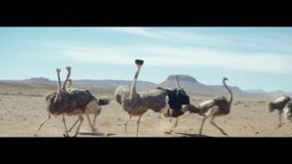 Samsung Official TVC Ostrich Shatner [upl. by Nivag]