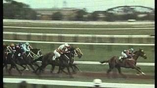 1973 Melbourne Cup [upl. by Llertnauq]