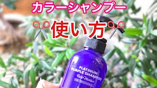 【カラーシャンプー】使い方と役割もしっかり理解しましょう✂️ [upl. by Mendel]