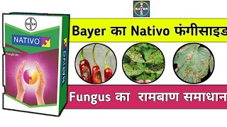 Bayer Nativo fungicide  Nativo fungicide [upl. by Eicyak]