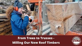 LADYFIELD FARM  Felling and Milling Roof Timbers For Our Barn Renovation [upl. by Olegnaed710]